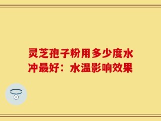 灵芝孢子粉用多少度水冲最好：水温影响效果