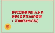 种灵芝需要浇什么水长得快(灵芝生长的关键：正确的浇水方法)
