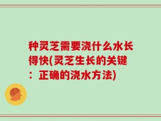 种灵芝需要浇什么水长得快(灵芝生长的关键：正确的浇水方法)