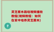 灵芝原木栽培视频播放教程(视频教程：如何在家中培养灵芝原木)