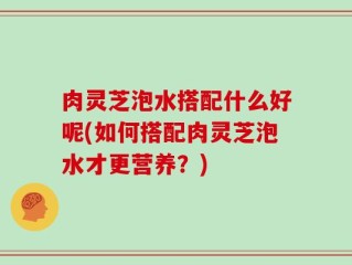 肉灵芝泡水搭配什么好呢(如何搭配肉灵芝泡水才更营养？)