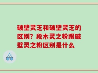 破壁灵芝和破壁灵芝的区别？段木灵之粉跟破壁灵之粉区别是什么