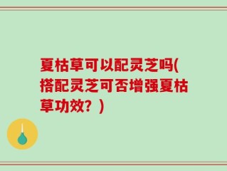 夏枯草可以配灵芝吗(搭配灵芝可否增强夏枯草功效？)