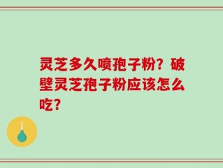 灵芝多久喷孢子粉？破壁灵芝孢子粉应该怎么吃？