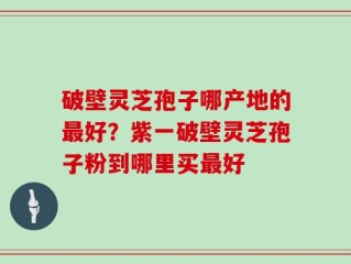 破壁灵芝孢子哪产地的最好？紫一破壁灵芝孢子粉到哪里买最好
