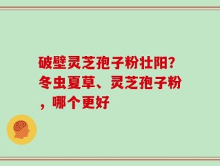 破壁灵芝孢子粉壮阳？冬虫夏草、灵芝孢子粉，哪个更好
