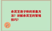 赤灵芝孢子粉的采集方法？详解赤灵芝的繁殖技巧？