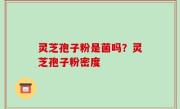 灵芝孢子粉是菌吗？灵芝孢子粉密度