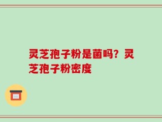 灵芝孢子粉是菌吗？灵芝孢子粉密度