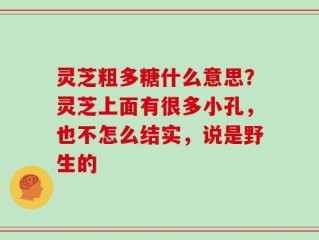 灵芝粗多糖什么意思？灵芝上面有很多小孔，也不怎么结实，说是野生的