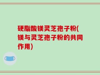 硬脂酸镁灵芝孢子粉(镁与灵芝孢子粉的共同作用)