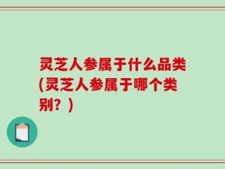 灵芝人参属于什么品类(灵芝人参属于哪个类别？)