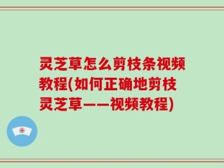 灵芝草怎么剪枝条视频教程(如何正确地剪枝灵芝草——视频教程)