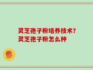 灵芝孢子粉培养技术？灵芝孢子粉怎么种