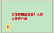 灵芝多糖益生菌？大青山灵芝介绍