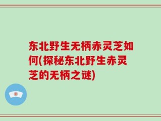 东北野生无柄赤灵芝如何(探秘东北野生赤灵芝的无柄之谜)