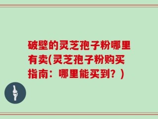 破壁的灵芝孢子粉哪里有卖(灵芝孢子粉购买指南：哪里能买到？)