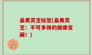 桑黄灵芝标签(桑黄灵芝：不可多得的健康宝藏！)