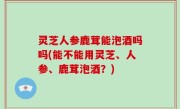 灵芝人参鹿茸能泡酒吗吗(能不能用灵芝、人参、鹿茸泡酒？)