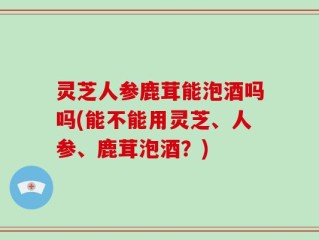灵芝人参鹿茸能泡酒吗吗(能不能用灵芝、人参、鹿茸泡酒？)
