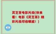 灵芝茶电影片段(快来看！电影《灵芝茶》精彩片段尽收眼底！)
