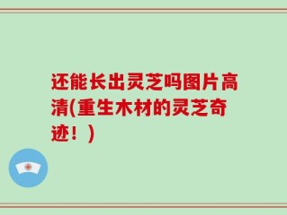 还能长出灵芝吗图片高清(重生木材的灵芝奇迹！)