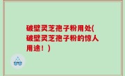 破壁灵芝孢子粉用处(破壁灵芝孢子粉的惊人用途！)