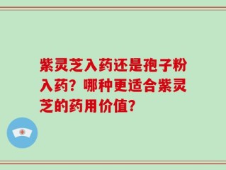 紫灵芝入药还是孢子粉入药？哪种更适合紫灵芝的药用价值？
