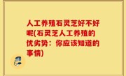 人工养殖石灵芝好不好呢(石灵芝人工养殖的优劣势：你应该知道的事情)