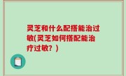 灵芝和什么配搭能治过敏(灵芝如何搭配能治疗过敏？)