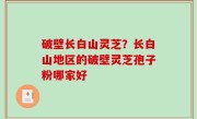 破壁长白山灵芝？长白山地区的破壁灵芝孢子粉哪家好