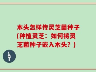 木头怎样传灵芝菌种子(种植灵芝：如何将灵芝菌种子嵌入木头？)