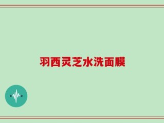 羽西灵芝水洗面膜