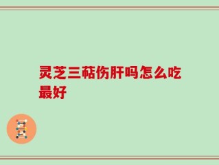 灵芝三萜伤肝吗怎么吃最好