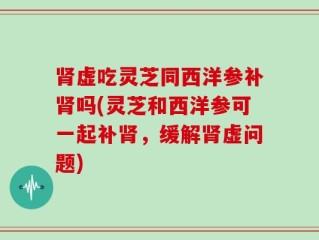 肾虚吃灵芝同西洋参补肾吗(灵芝和西洋参可一起补肾，缓解肾虚问题)