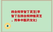 四合院李智丁灵芝(李智丁在四合院种植灵芝，传承中医药文化)