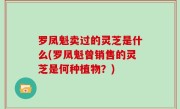 罗凤魁卖过的灵芝是什么(罗凤魁曾销售的灵芝是何种植物？)