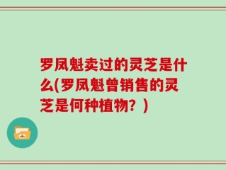 罗凤魁卖过的灵芝是什么(罗凤魁曾销售的灵芝是何种植物？)