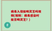 病毒入侵能喝灵芝吗视频(视频：病毒感染时能否喝灵芝？)