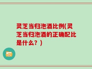 灵芝当归泡酒比例(灵芝当归泡酒的正确配比是什么？)