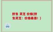 野生 灵芝 价格(野生灵芝：价格暴涨！)