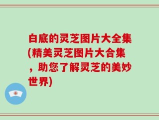 白底的灵芝图片大全集(精美灵芝图片大合集，助您了解灵芝的美妙世界)
