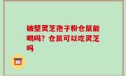 破壁灵芝孢子粉仓鼠能喝吗？仓鼠可以吃灵芝吗