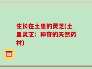 生长在土里的灵芝(土里灵芝：神奇的天然药材)