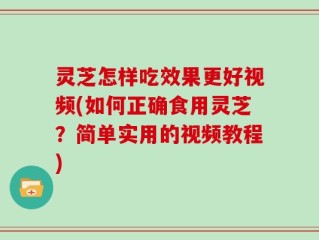 灵芝怎样吃效果更好视频(如何正确食用灵芝？简单实用的视频教程)