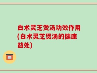 白术灵芝煲汤功效作用(白术灵芝煲汤的健康益处)