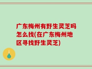 广东梅州有野生灵芝吗怎么找(在广东梅州地区寻找野生灵芝)
