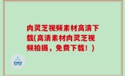 肉灵芝视频素材高清下载(高清素材肉灵芝视频拍摄，免费下载！)