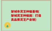 邹城市灵芝种植基地(邹城灵芝种植园：打造高品质灵芝产业链)