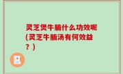 灵芝煲牛腩什么功效呢(灵芝牛腩汤有何效益？)